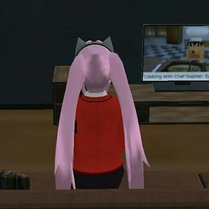 Meet your Posher, Saizana